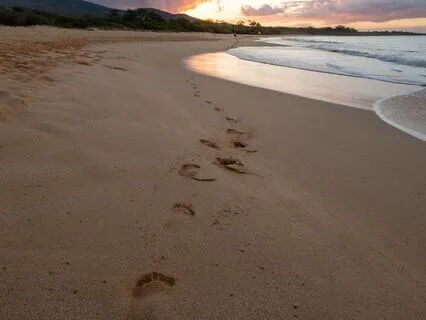 Recalibrating Your Trauma Triggers: A Guided Exercise