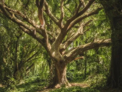 Receive Advice From Your Higher Self