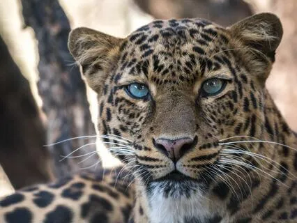 Let Nature Guide You