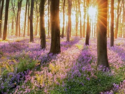 Receive Guidance From Your Higher Self