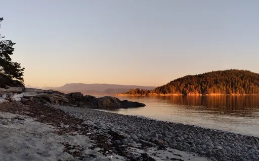 Receive Guidance From Your Intuitive Heart