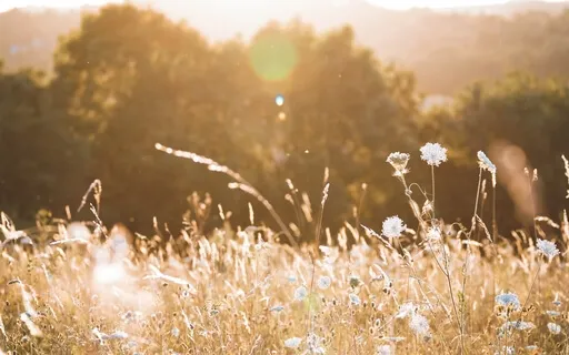 Receive Wisdom From Your Higher Self Guided Visualisation