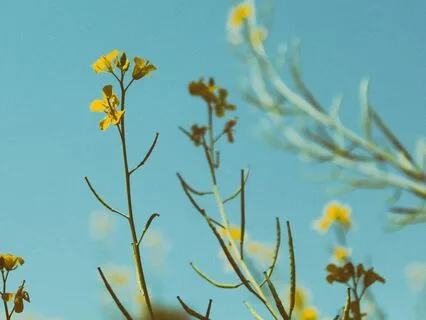 Challenge Day 5 Reset & Refresh: Receive Love, Give Love