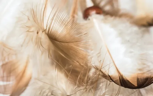 Receive Messages & Blessings From Spirit Guides