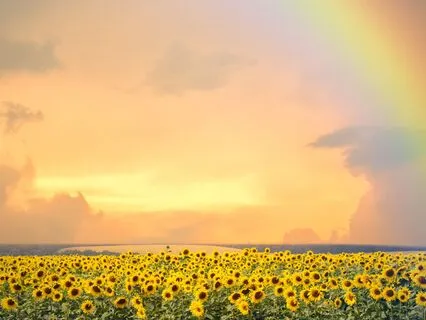 Receive Miracles! 369 Hz + 528 Hz Tuning Forks (Alpha)