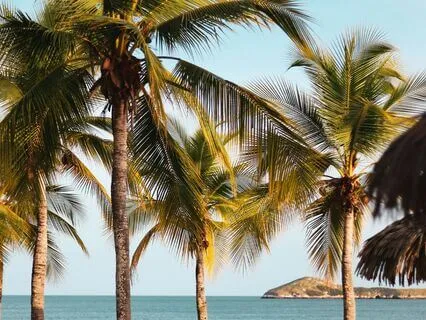 Receive Prosperity & Miracles | Wealth Is Coming Your Way