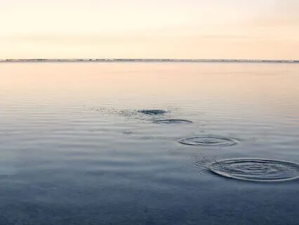 Receive — The Colour You’ve Never Seen