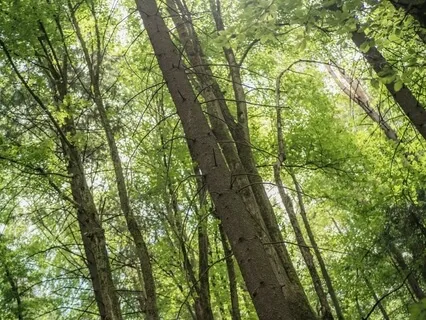 Receive The Love You Deserve