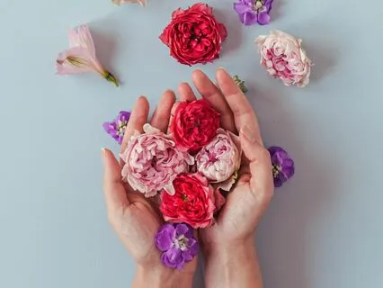 Receive What You Need: A Meditation For Busy Bees