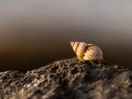 Receiving And Releasing Breath