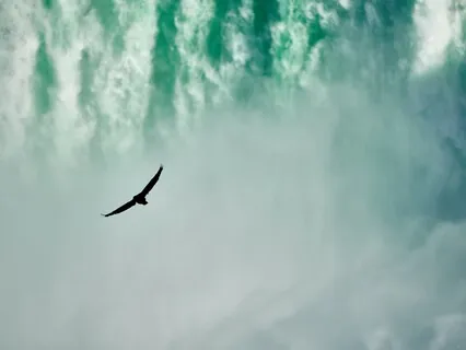 Receiving & Releasing - Space For Calm Presence