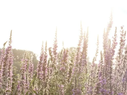 Receiving Blessings From The Bestower