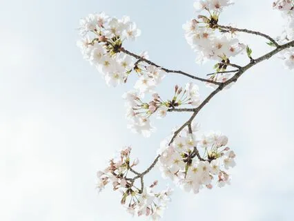 Receiving Guidance From Your Higher Self