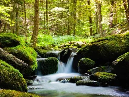 Receiving Life Fully