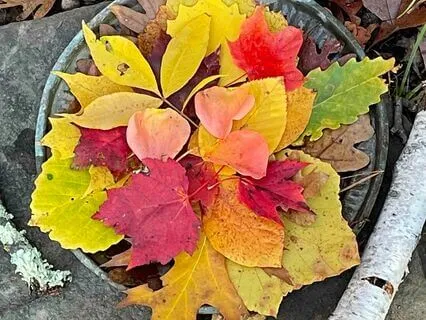 Receiving Support From Your Ancestors