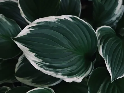 Receiving Unconditional Love