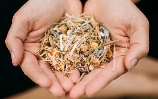 Receptive Listening And Intention 