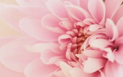 Receptivity - You Can't Fight & Receive At The Same Time