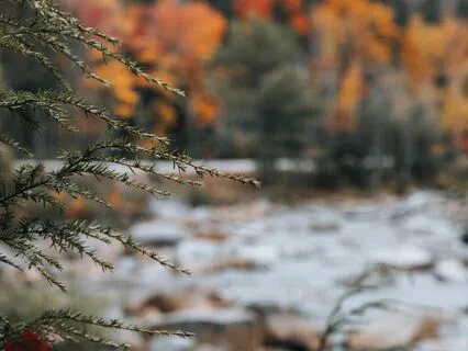 RechargeIn Minutes: Stress Relief Break Music