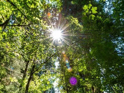 Recharge & Renew: For Energy And Inner Strength