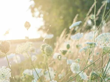 Recharge Your Battery