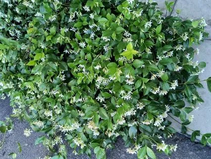 Recharge Your Battery