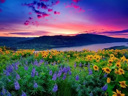 Recharge Your Immune System