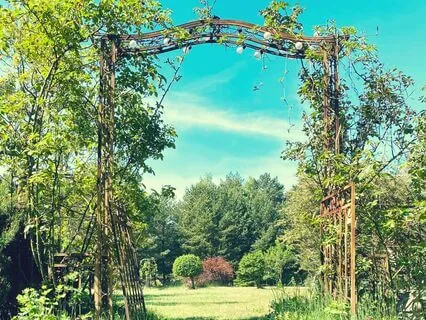 Recharge Your Nervous System Yoga Nidra