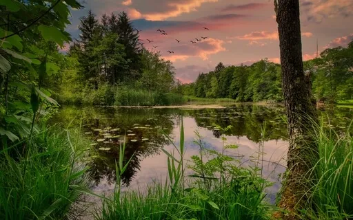 Recharge Yourself With Relaxing Mindfulness - Meditation 47