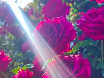 Recharged - 432 Hz & Delta Binaural Beats Meditation