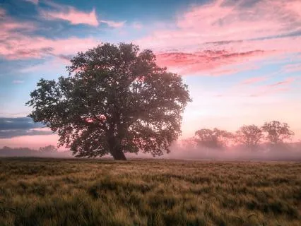 Recharging Social Battery – Nervous System Reset