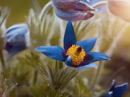 Receive (Guided Practice)