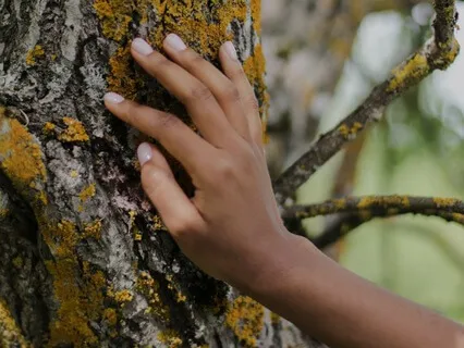 Reciprocity With Nature Meditation