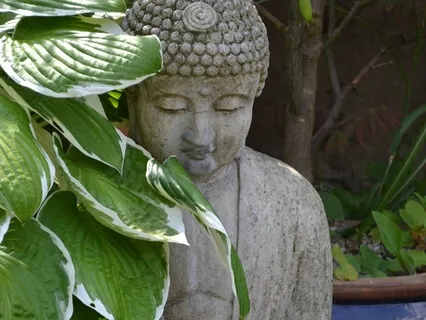 Recite The Reiki Gokai In Japanese & English