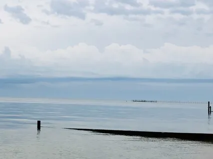 Reclaim Calm & Clarity