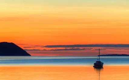 Reclaim The Magnificence Of Our Being - Tone Therapy