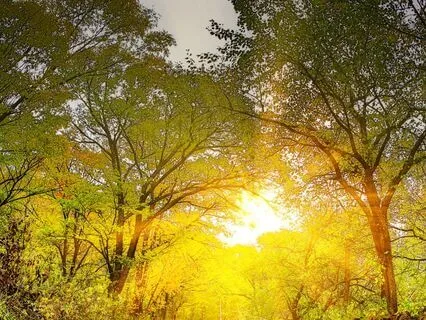 Reclaim Your Confidence: You Are Enough