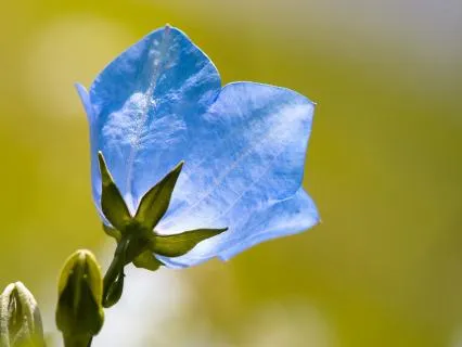 Reclaim Your Creative Power - Prayer As Focused Intent