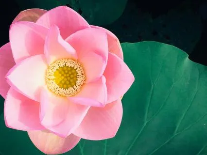 Reclaim Your Sacred Feminine Power