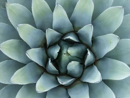 Reclaim Your Value: Build Lasting Self-Worth | 11 Hz