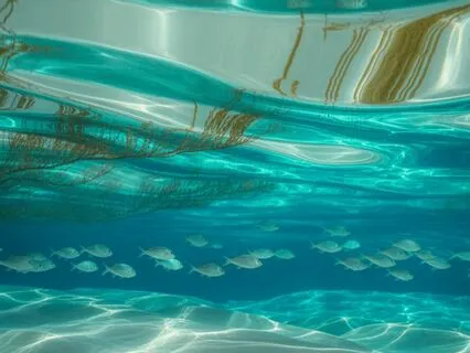 Reclaim Your Vital Energy — 528 Hz Healing Reiki Meditation