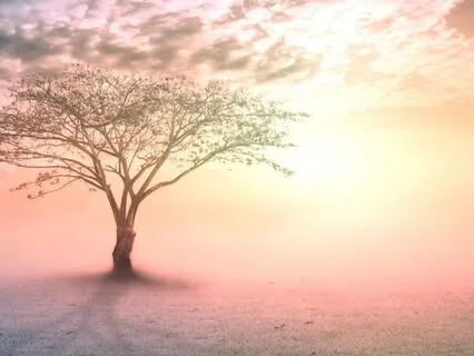 Reclaim Your Voice & Speak Your Truth