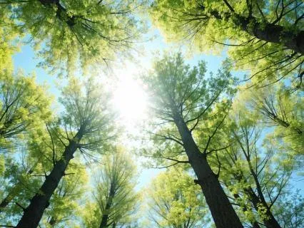 Reclaim Your Whole Identity As A Mother (Pranic Healing)