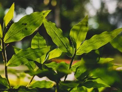 Reclaimed Love: Healing Family Relationship Patterns
