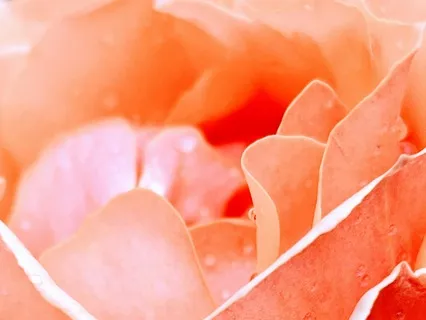 Reclaiming Healthy Boundaries While You Sleep