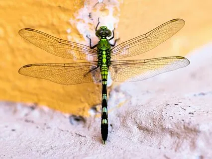 Reclaiming Power: A Reflective Meditation Series For Anxiety