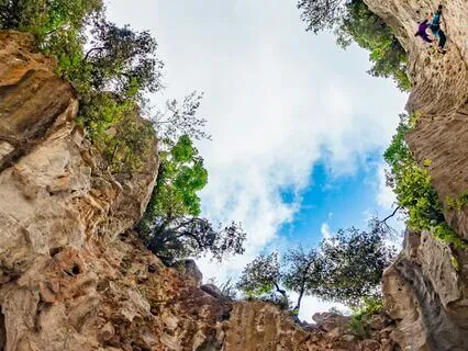 Reclaiming Radiance: A Meditation With Goddess Freyja