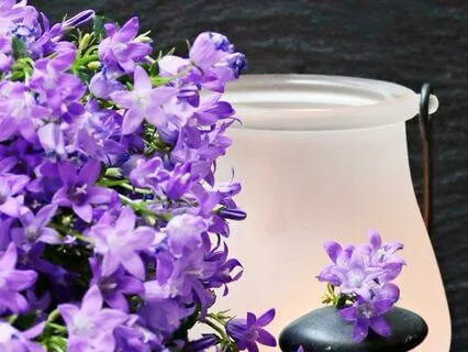 Reclaiming Self-Love Meditation For  Stress Relief