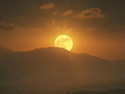 Reclaiming Value: The Energy Of Enough This Taurus Full Moon