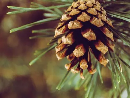 Reclaiming Your Emotional Power - Dec 16